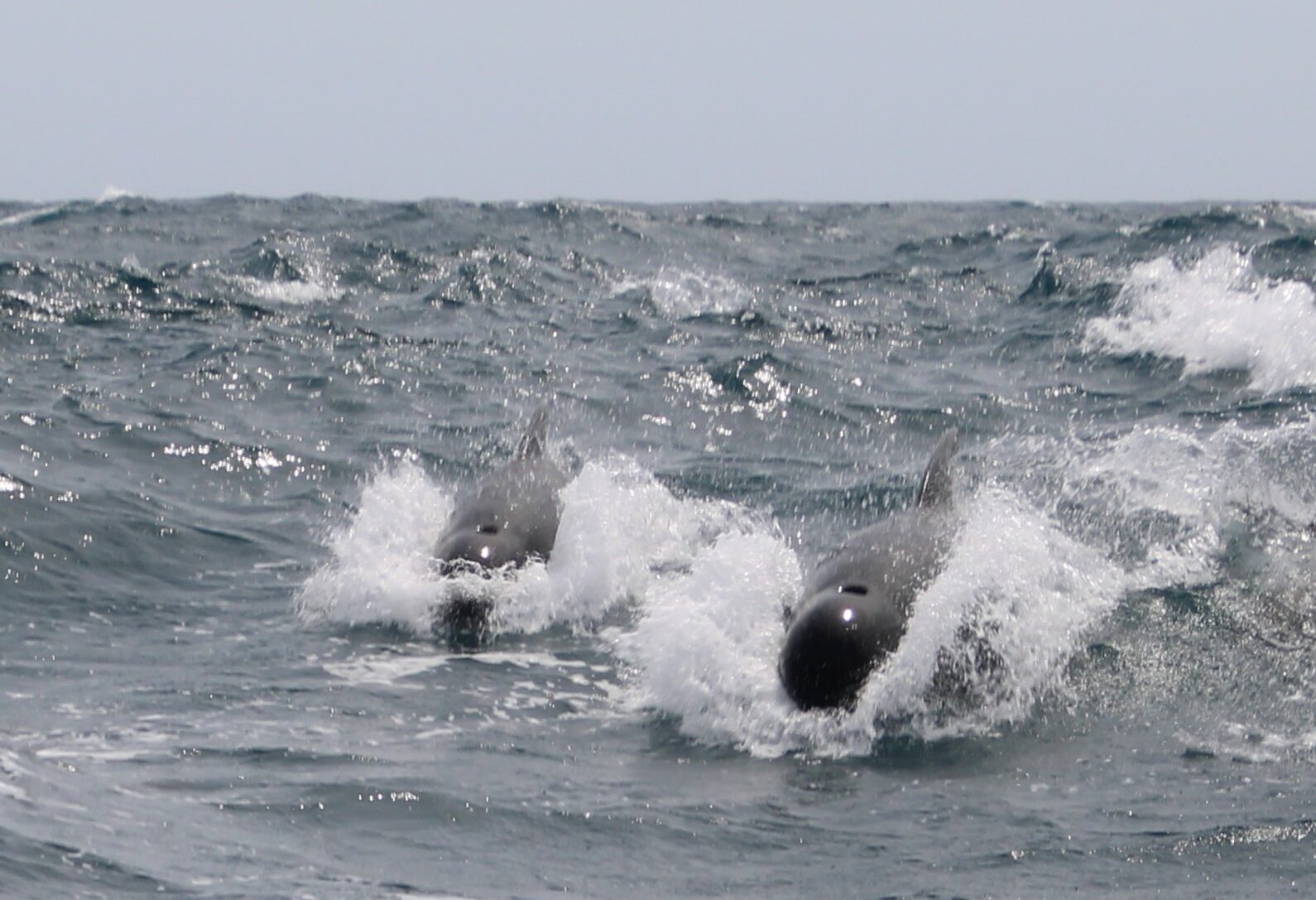 Offshore